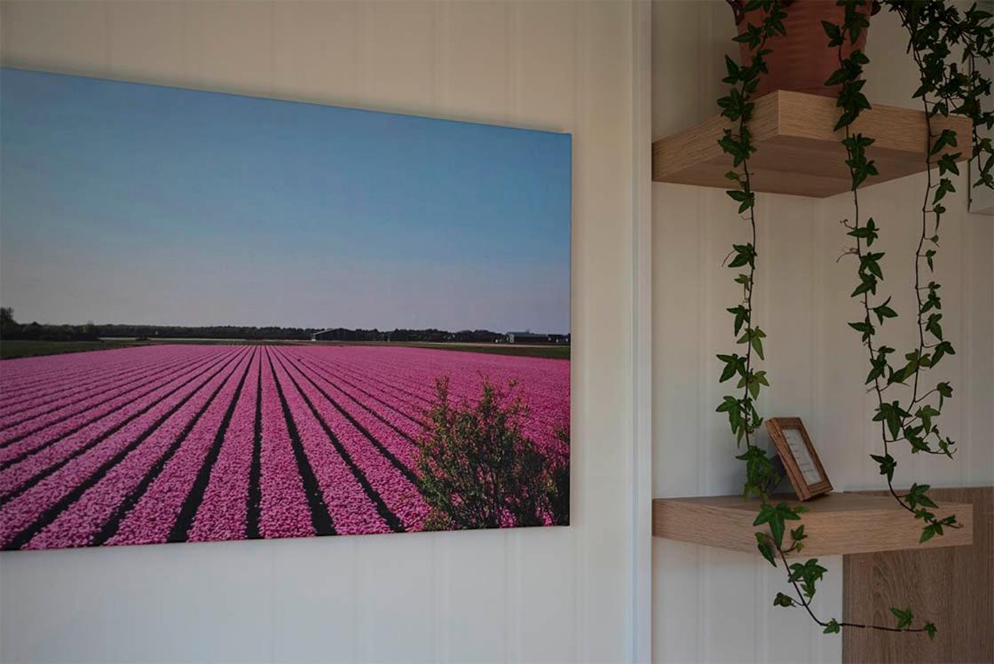 Bloem & Bed Bed & Breakfast 't Zand Exterior photo