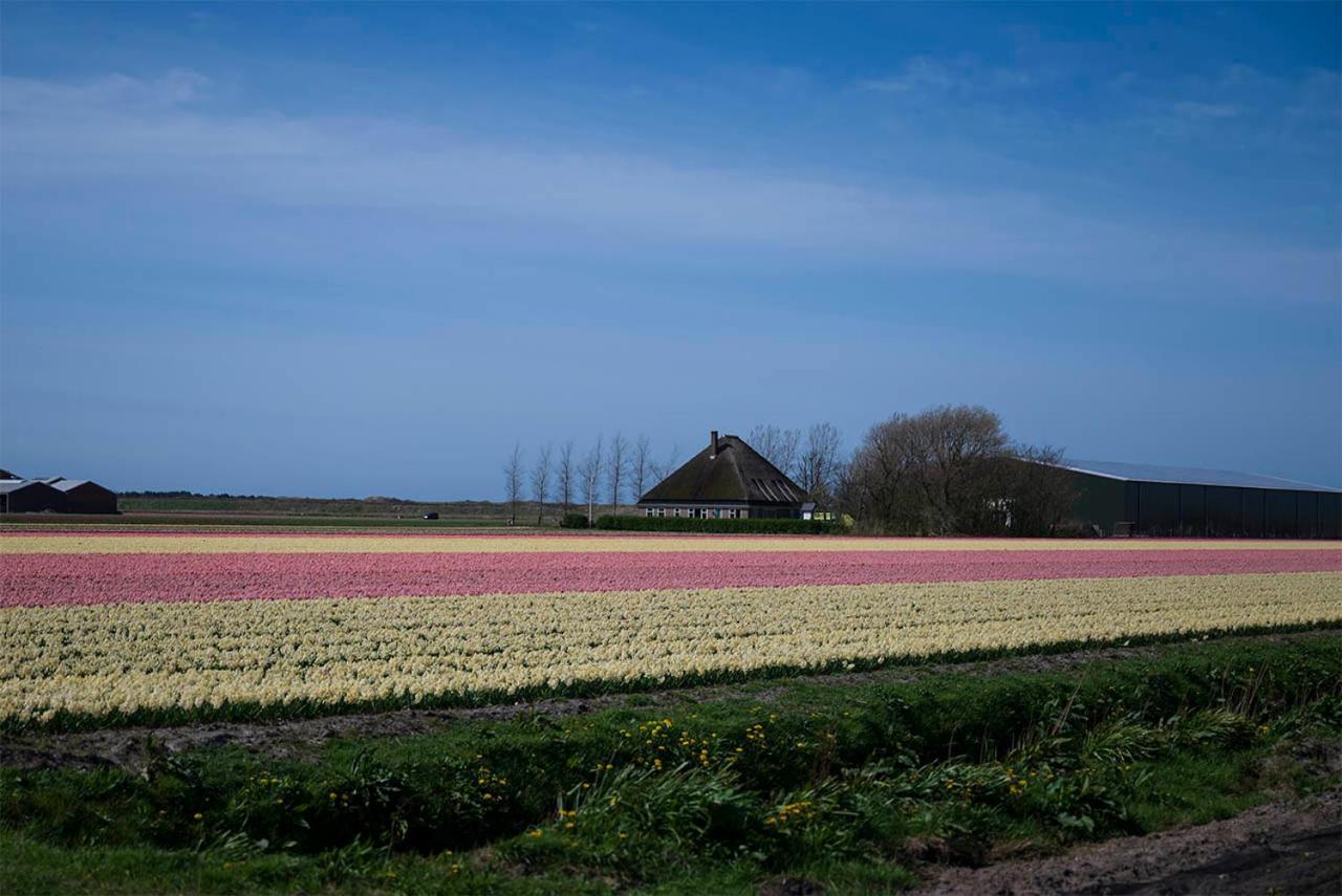 Bloem & Bed Bed & Breakfast 't Zand Exterior photo